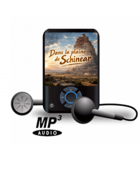 Dans la plaine de Schinear