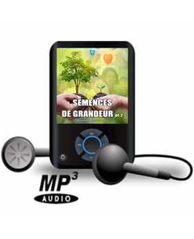 Semence de grandeur (partie 2)